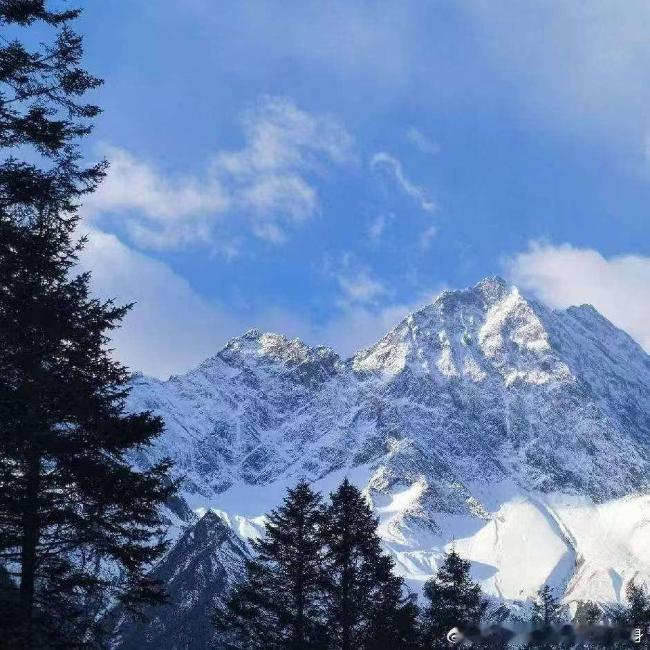 锦上添花的事让别人去做，我只做雪中送炭的事。                  