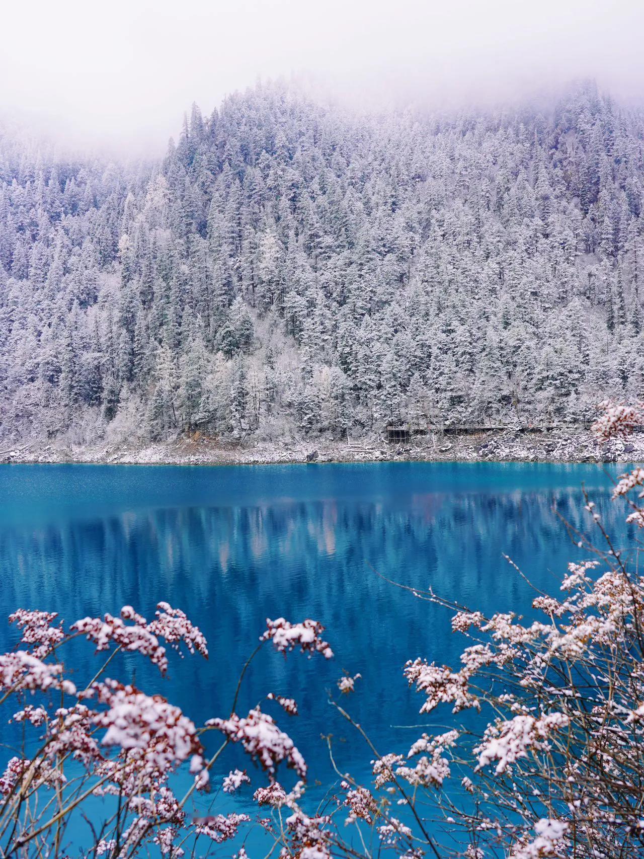 九寨沟豪赌成功！下雪简直不要太美了！

淡季来过九寨沟才知道，雪后的九寨沟有多美