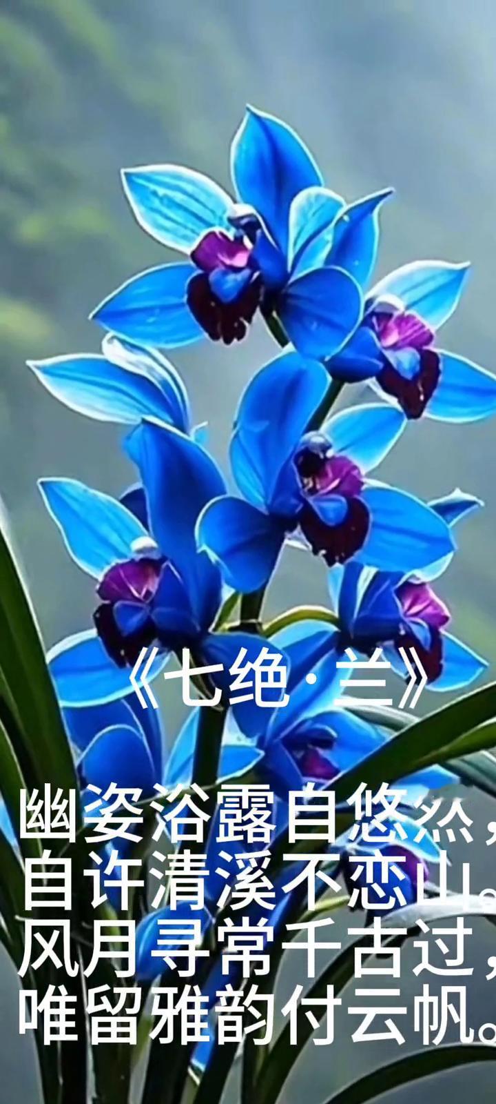 《七绝·兰》。
幽姿浴露自悠然，自许清溪不恋山。
风月寻常千古过，唯留雅韵付云帆