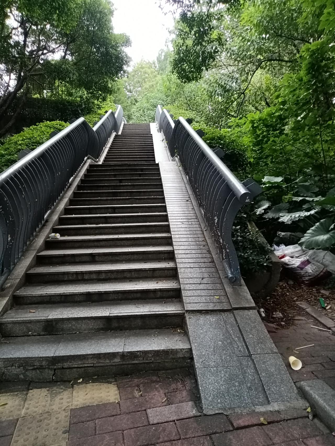 广州海珠区新滘西路段的天桥，好陡，下雨还会打滑。


每天从这里过的行人非常的多