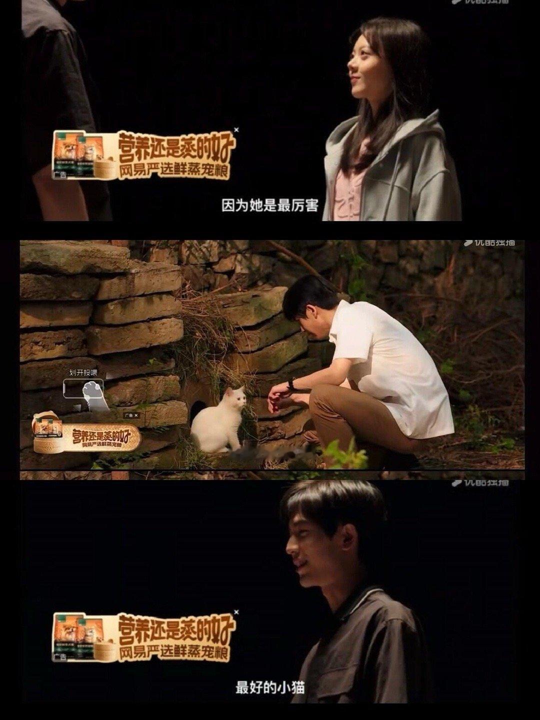 电视剧樱桃琥珀[超话] 樱桃琥珀上头中救命啊！张凌赫这个喂猫动作也太苏了吧！麦麦