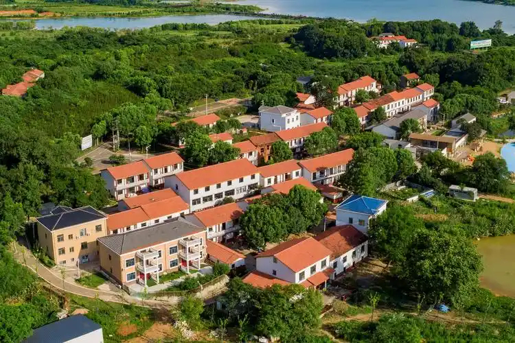 内蒙女村长带400户村民直播户均增收8千女村长带领村民直播，不仅增加了村民的收入