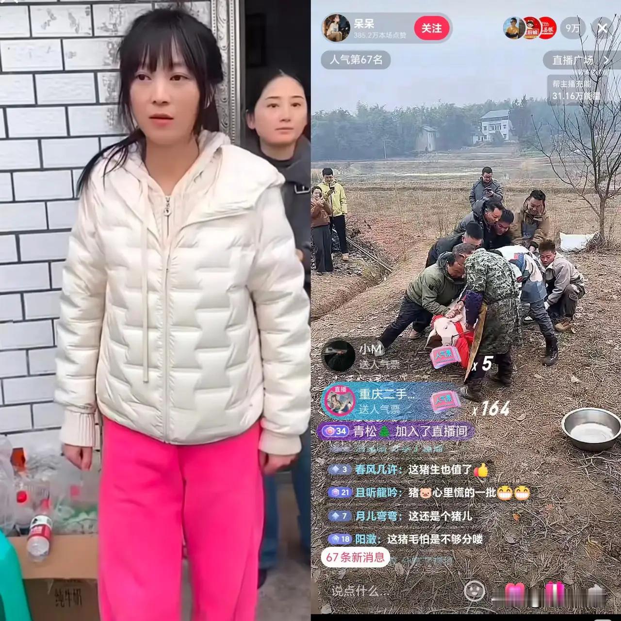 车连车，人挤人，一眼望不到头啊。
呆呆茫然了：“我的个妈呀！这篓子，捅得太大了！