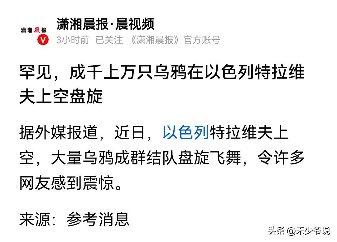 什么征兆？特拉维夫乌鸦漫天
有媒体报道，近日在以色列特拉维夫上空，大量乌鸦成群结