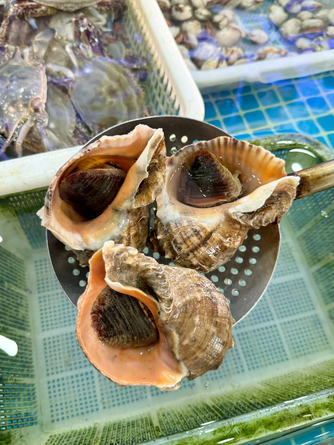 爸妈健康