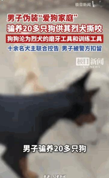 “真是人渣都不如！”据媒体5月15日报道，广东东莞，一出打着“爱心领养”旗号，实