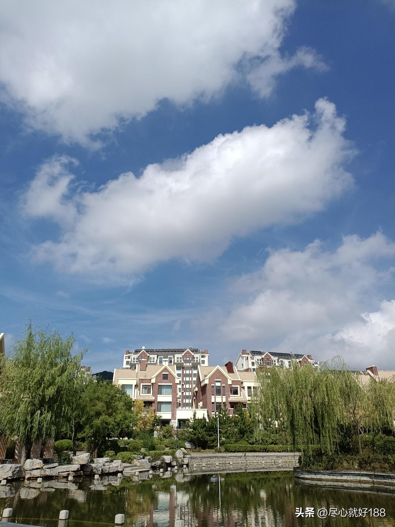 昨天下午用轮椅推着妈妈，从两点多推到六点多，相当锻炼身体。

由于妈妈不能走路，