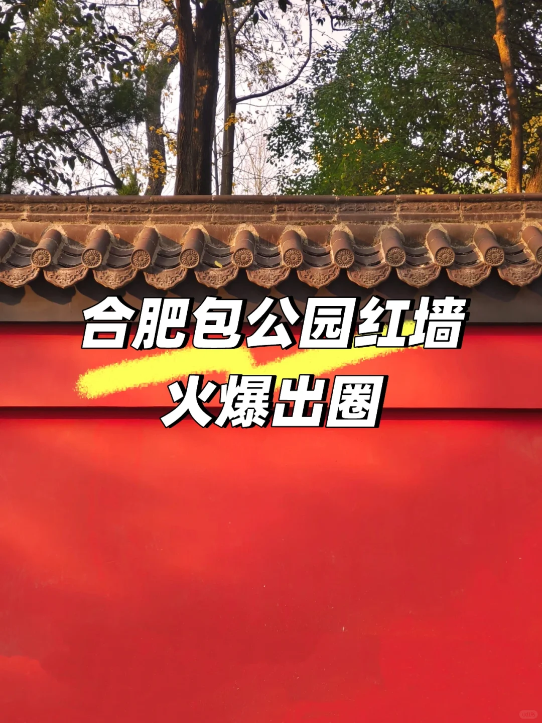 合肥包公园红墙火爆出圈！