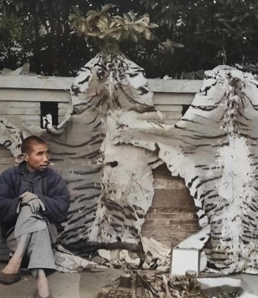 [赞]民国时期，一位小贩坐在凳子上，悠闲地等待着顾客光顾。他身后挂着两张巨大的虎