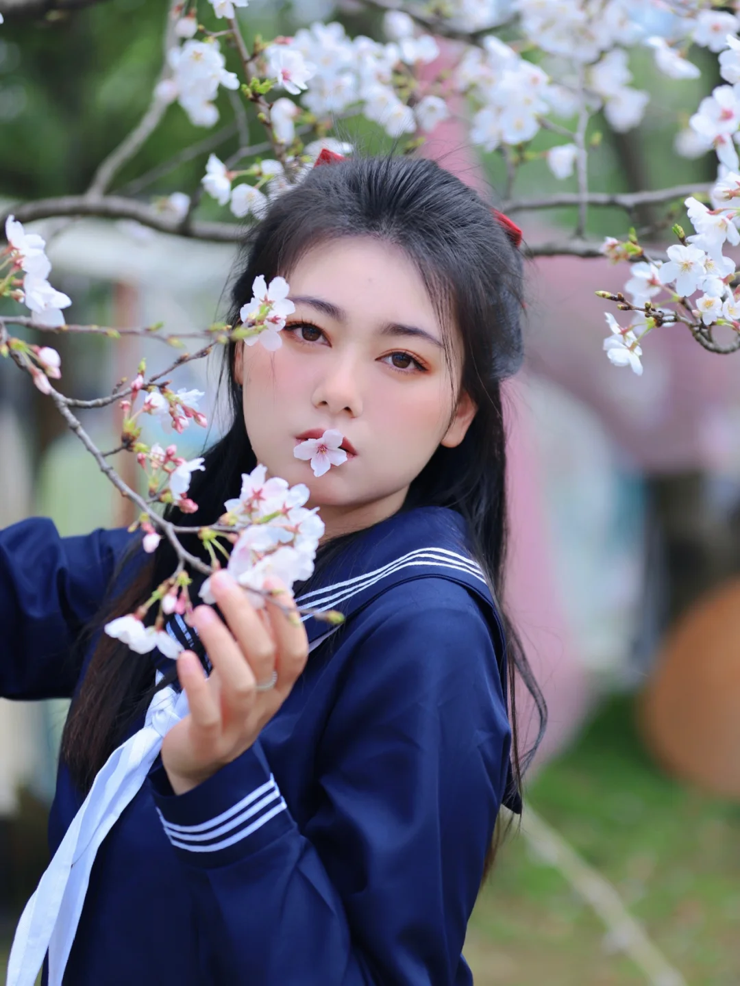 春日来信✉白樱似雪，樱花市集拍照尊滴好美