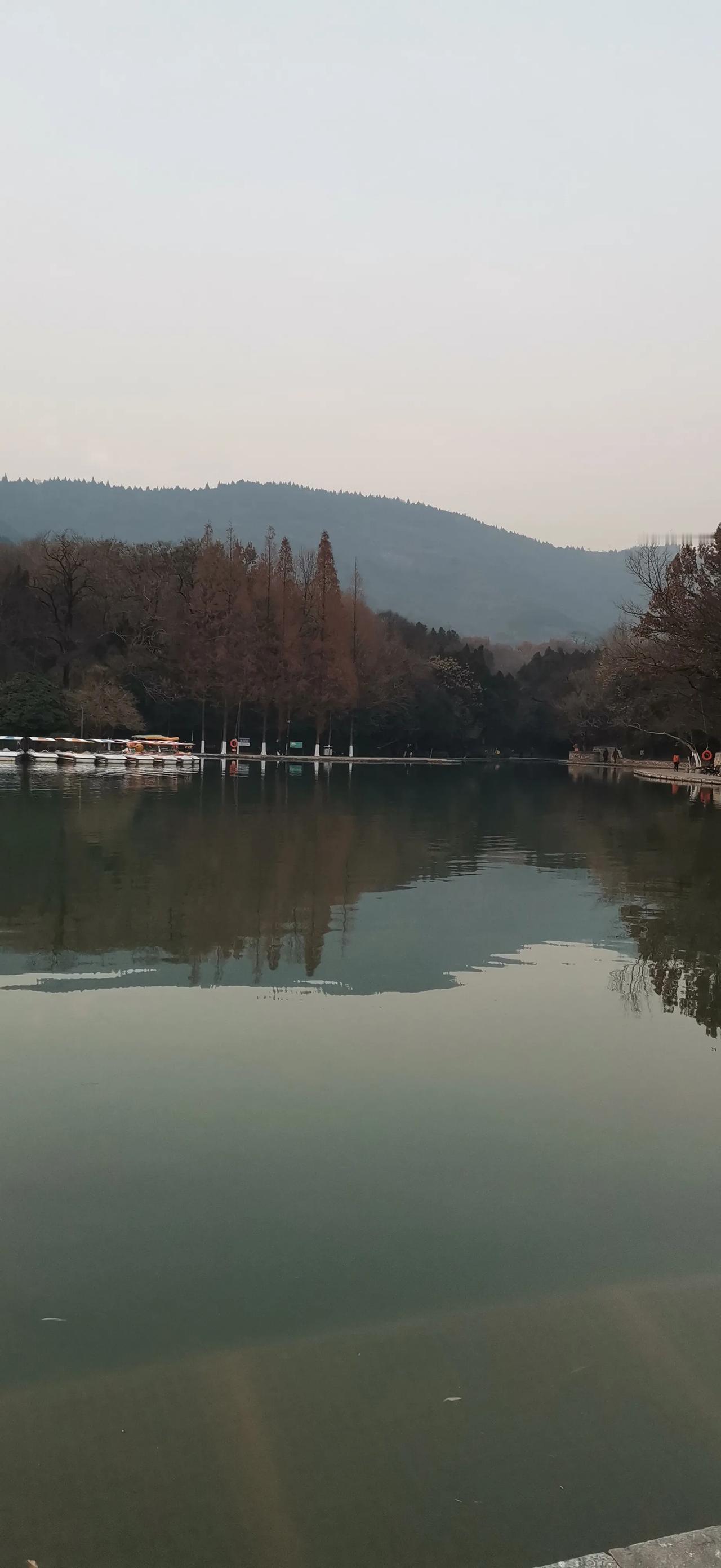 随手拍，记录美好瞬间