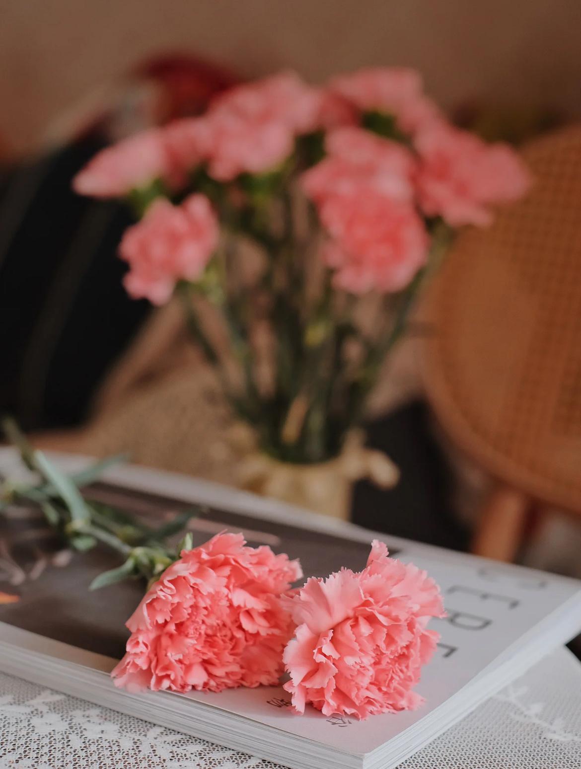 能把你拍的很好看的人一定也能让你最放松。