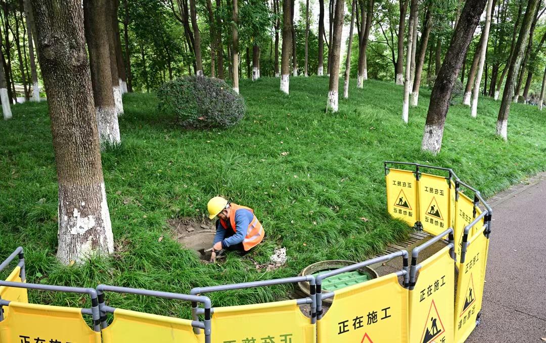 【全新升级，新都区200余座井盖换新！】在公园和街头漫步时，你是否留意过脚下的井