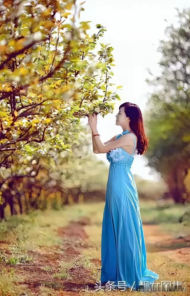 四块玉·春光美
 
柔风拂，垂柳舞，
陌上桃花次第舒。
归莺紫燕穿庭户。
春色浓