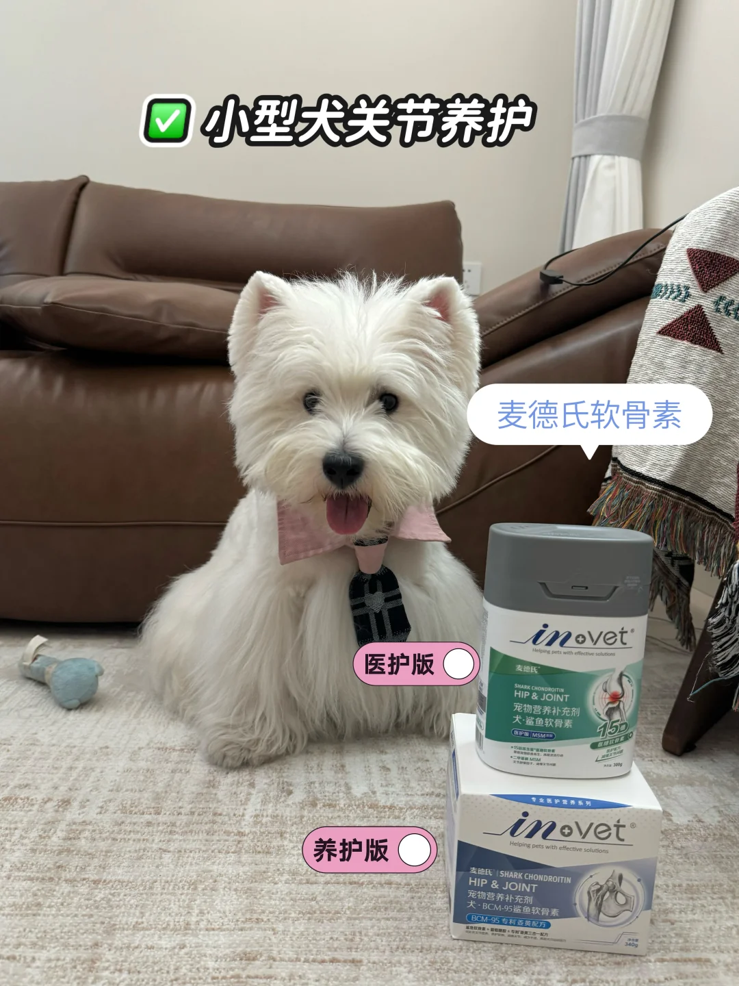 小型犬关节健康秘籍，一套组合吃到老