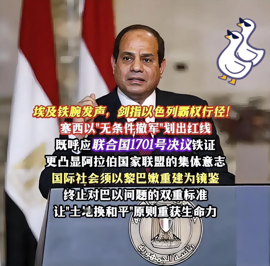 快报！
埃及新选择 
9月17日，埃及总统塞西在阿拉伯-伊斯兰国家紧急峰会上首次