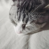 悦颖热说美女