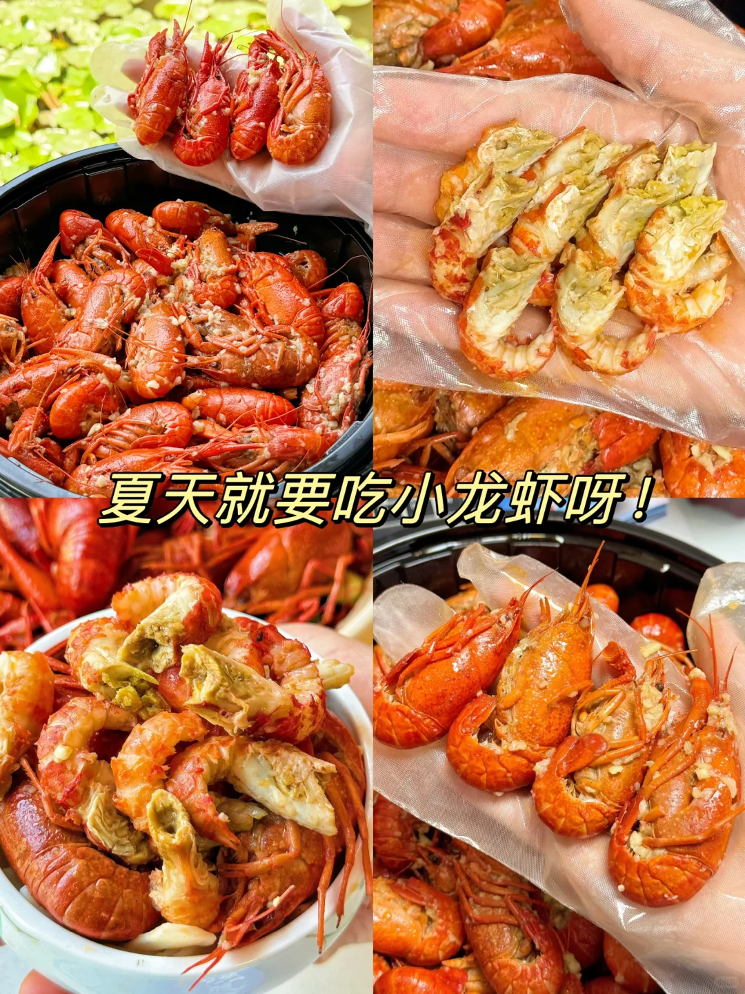 家人们，吃虾季来啦！🎉