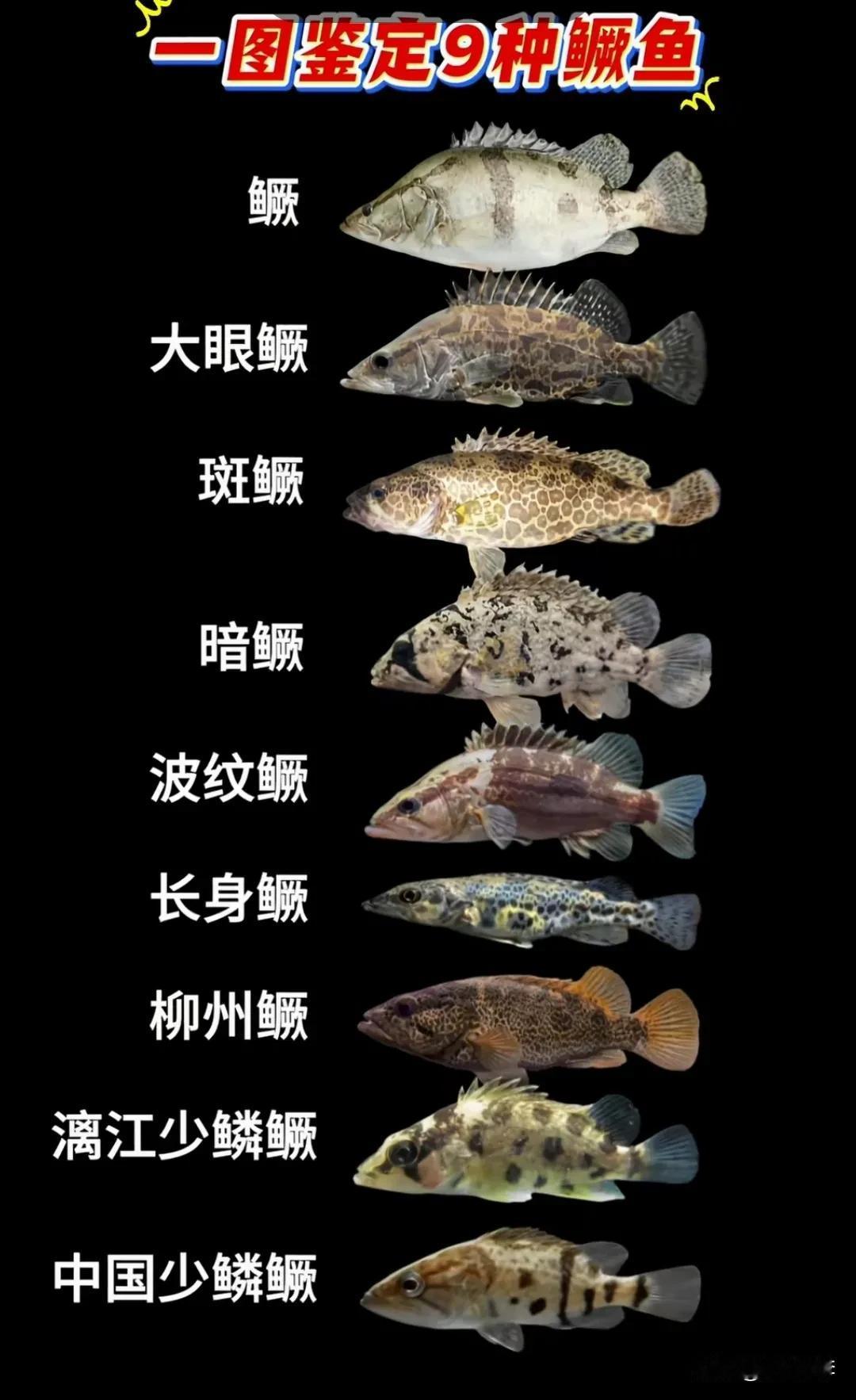 各位钓鱼佬解锁过几种[狗头][狗头][狗头]