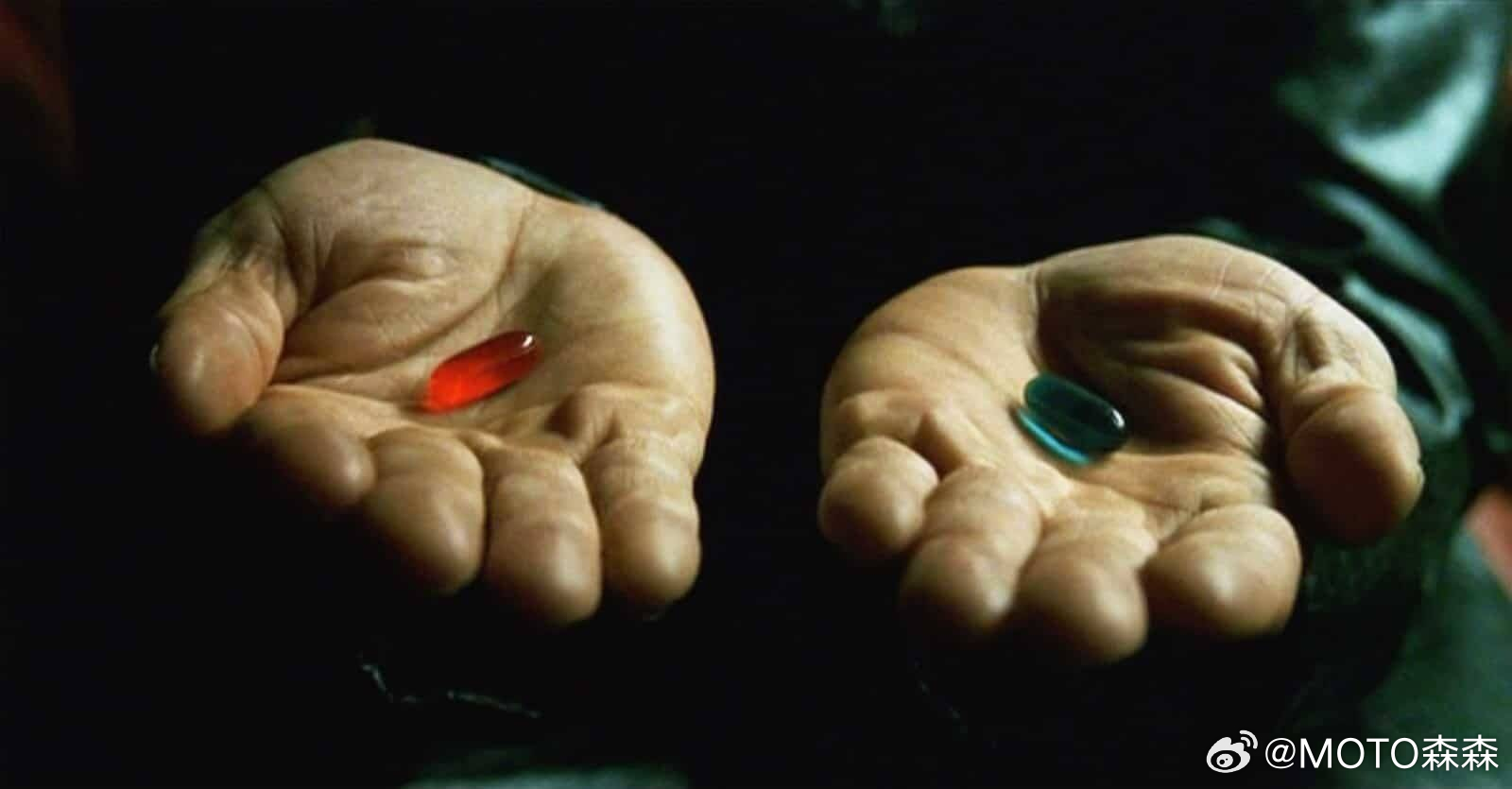 [二哈]做出你的选择，我的朋友—— ​​​