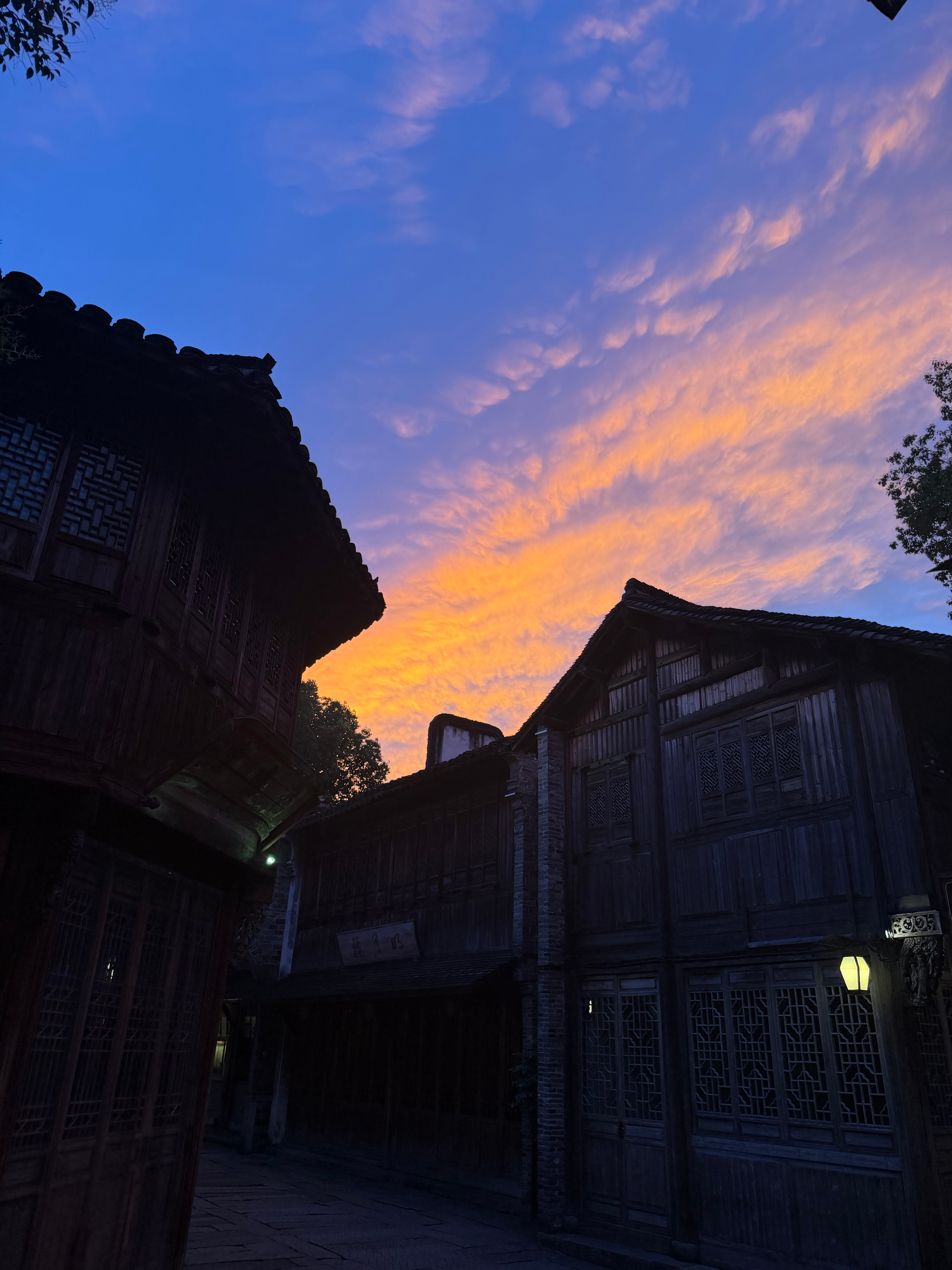 谢谢 凌晨四点五十的风景 
