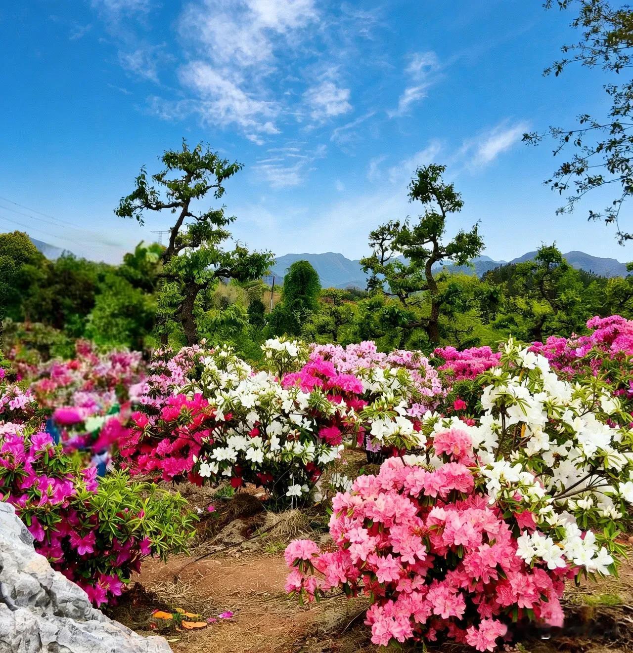 七律《时光感怀》
 
光阴似箭岂能追，
岁月如流去不回。
淡看尘缘心自畅，
闲观
