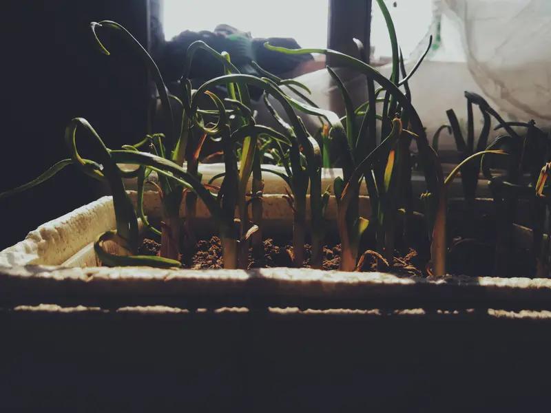 上联：吃春夏秋冬苦.求下联尝苦辣酸甜咸。