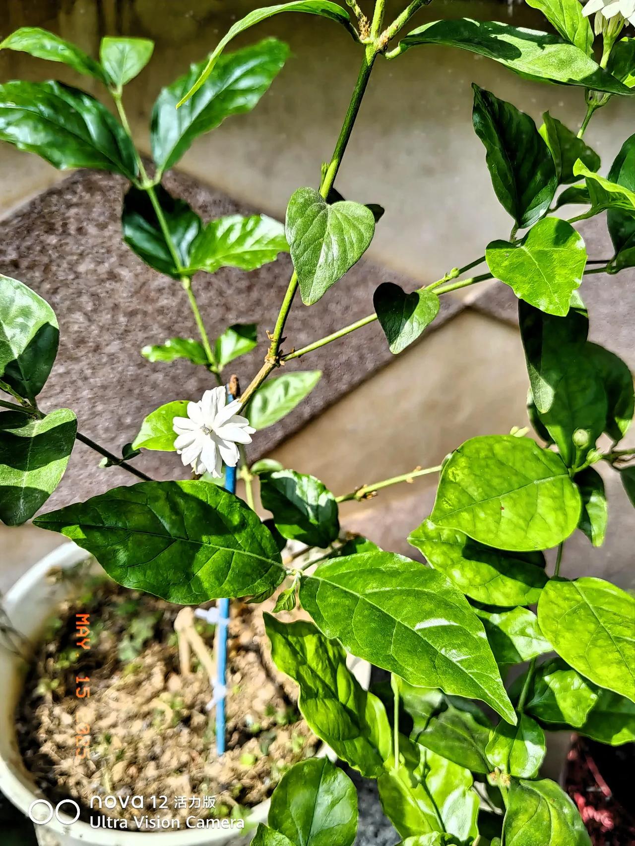 期待五一到来戳这里，一起来集邮>旅游的意义就是看祖国的大好河山，以前人们经济条件