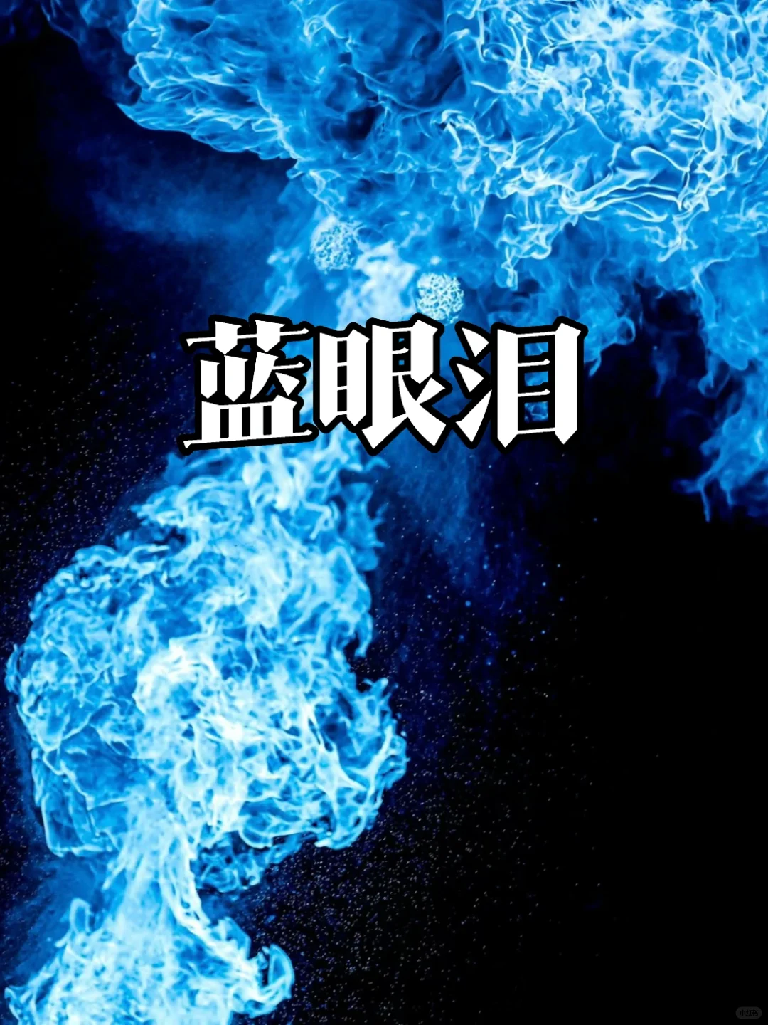 在台州！昨夜蓝眼泪世纪大爆发，今晚别错过！