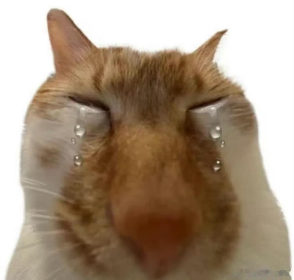 “你越是放松结果往往越好”我的人生真的很需要这句话。 