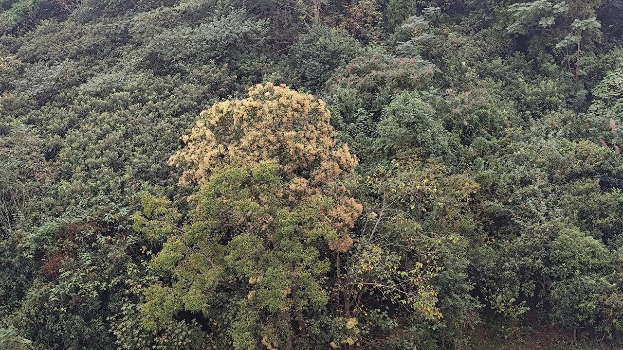 分享自然风景照片乡村风景欣赏