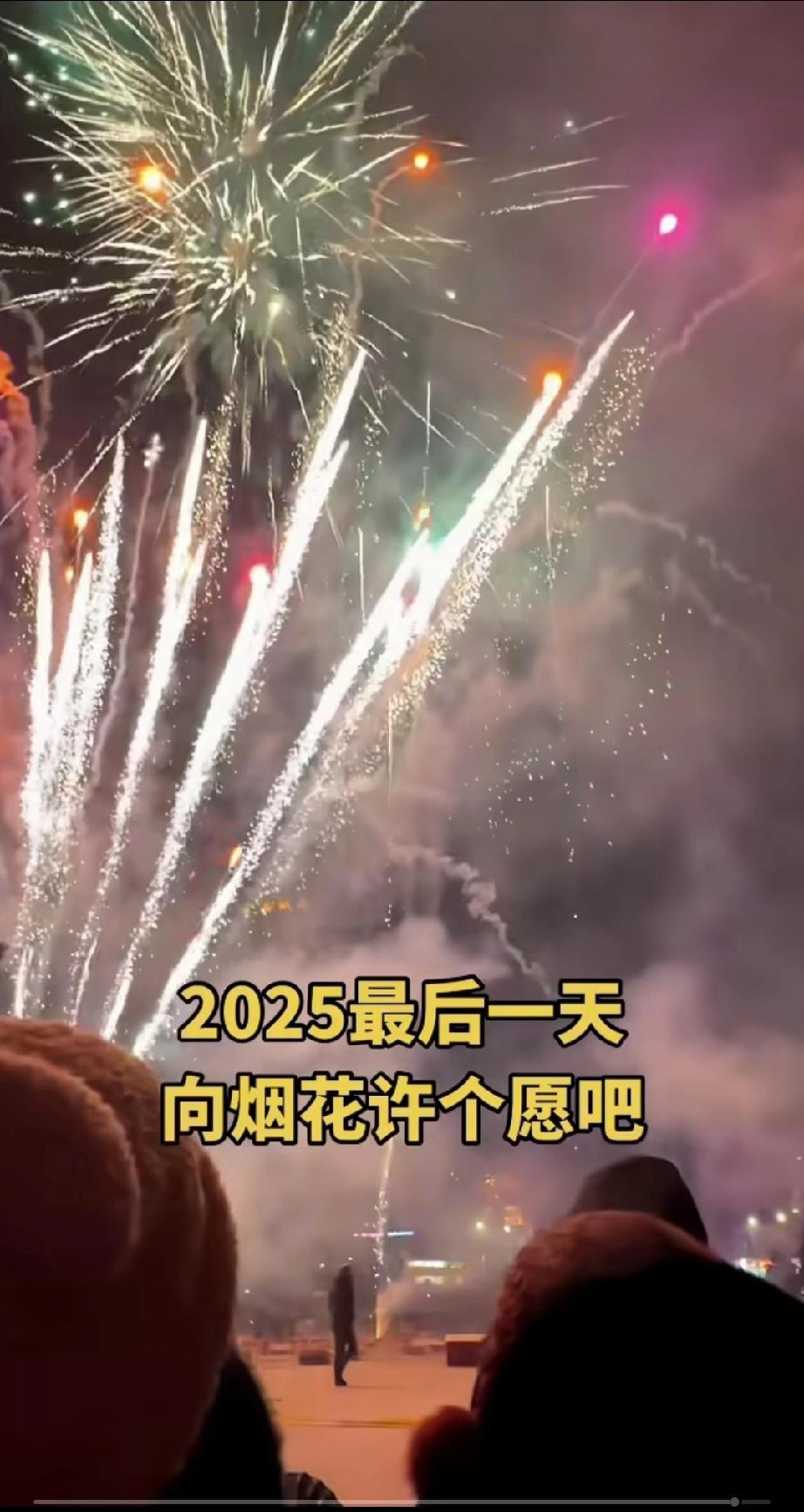2025年最后一天，向烟花许个愿吧。
年年收到不一样的寄语，也许下不一样的愿望。