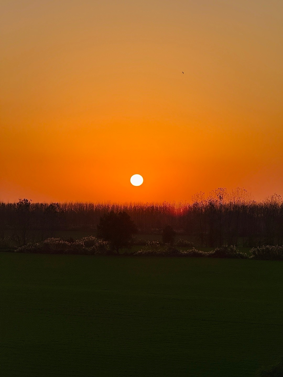 总有一个人的出现 治愈你受过的伤 给你久违的安全感 