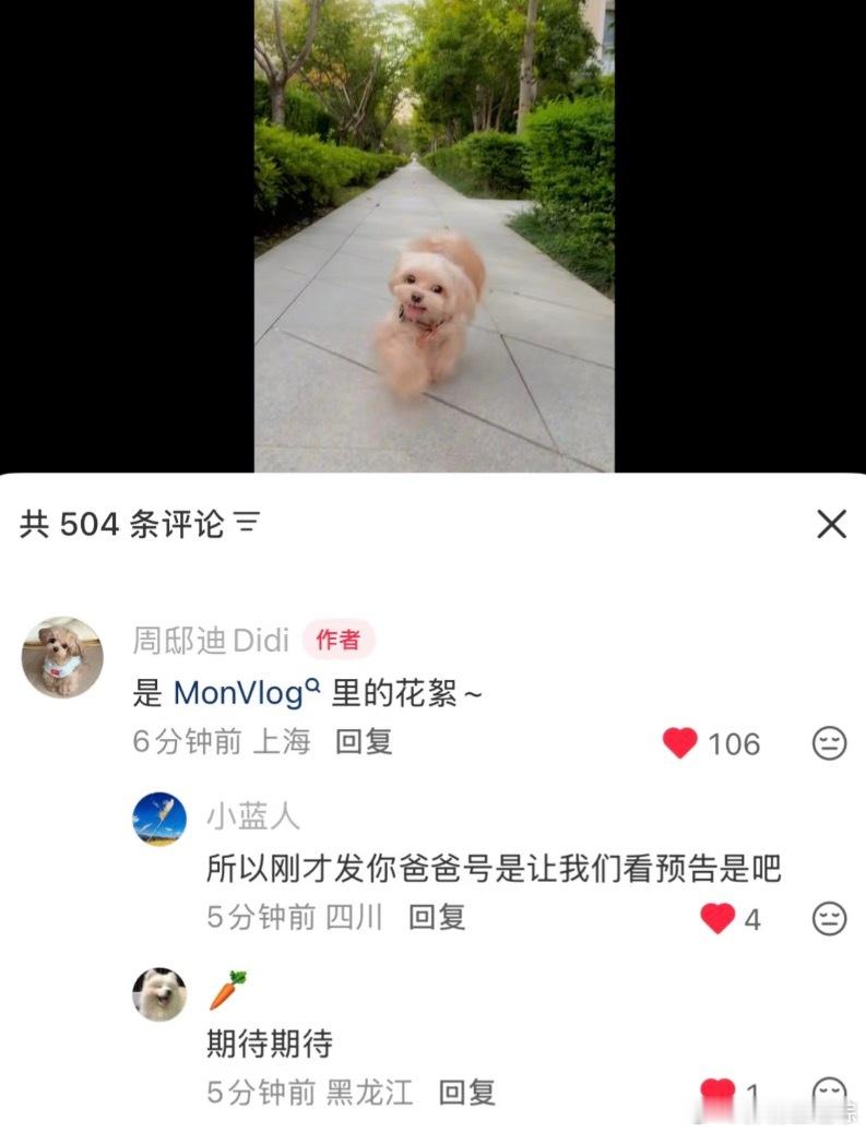 就知道周叔会放vlog的饭！好饭不怕晚柳周cp ​​​