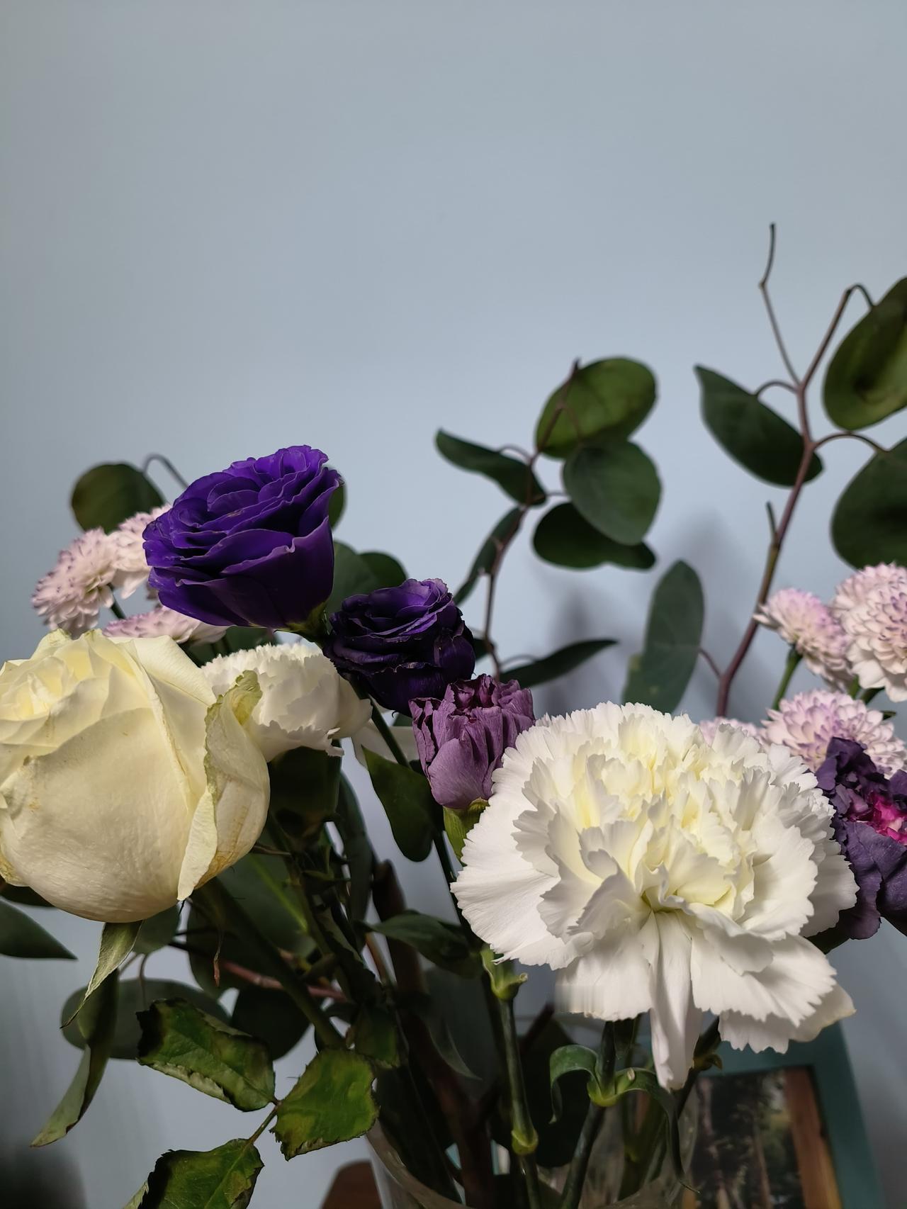 一年的时间变化太快～

永远不变的是照片📸

定格的美好瞬间～室内鲜花∠※随手