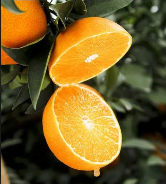 奋进江城共筑新篇