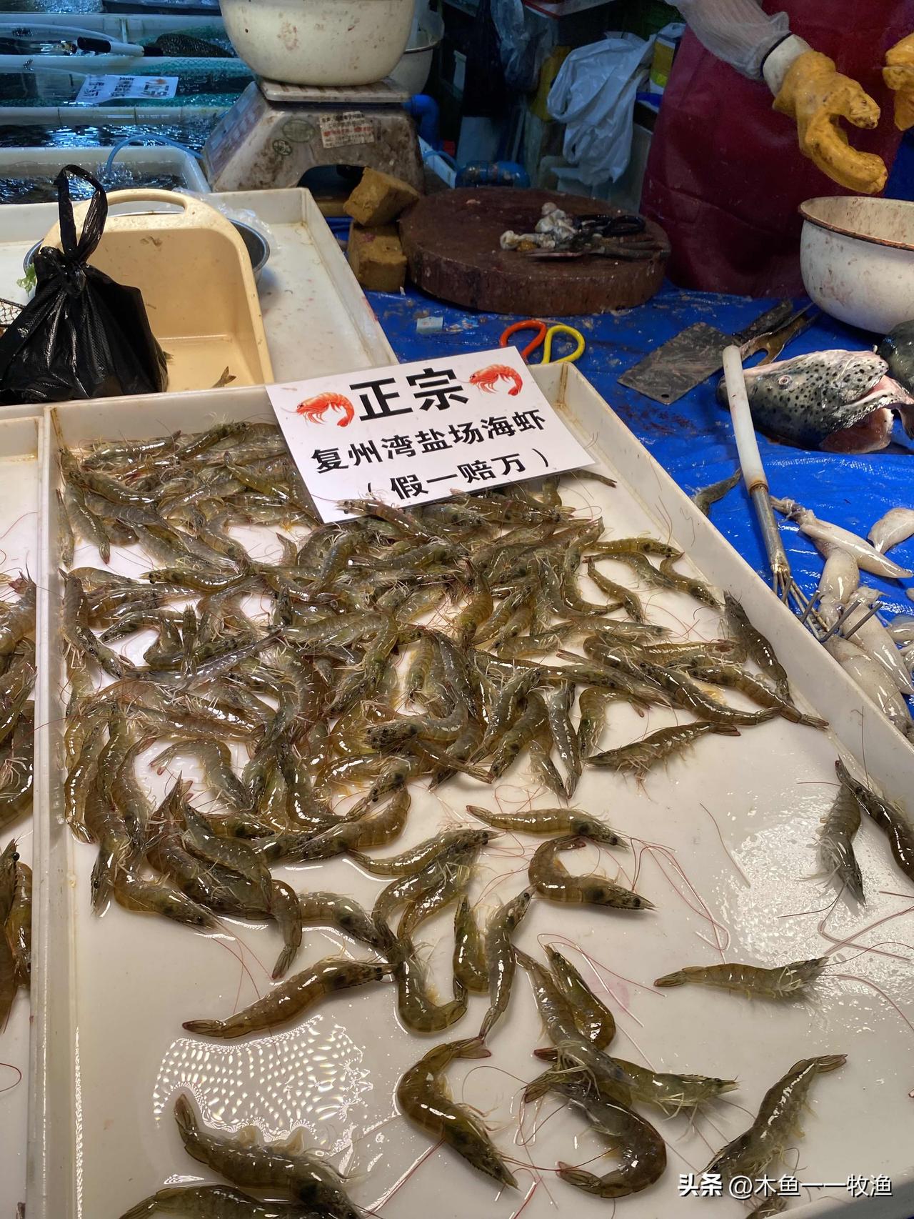 这两天大连盐田虾上市了。今天早晨我去大连南石道街市场逛了一圈，发现海鲜摊位上有好