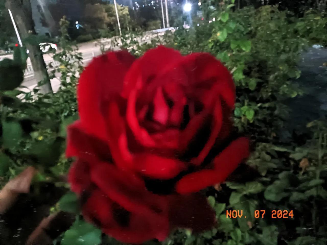 🎉快来参加，一展你的镜头魅力！无论是壮丽山河，还是温馨瞬间；无论是奇趣动物，还