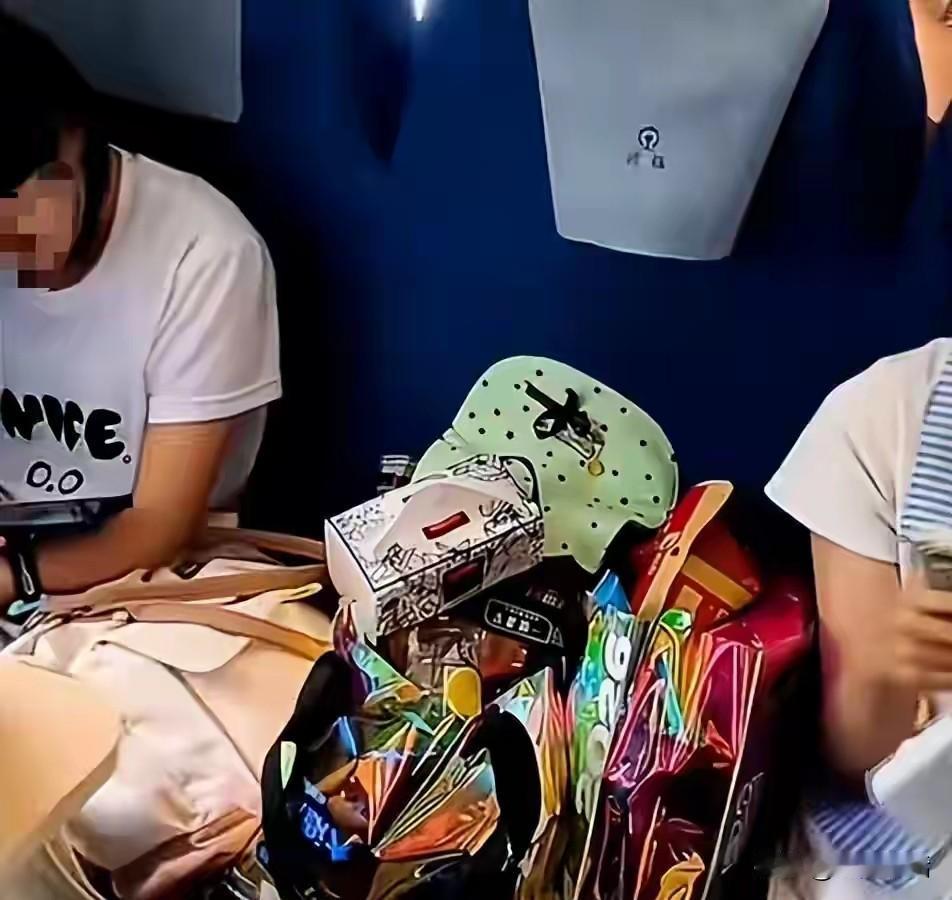 专家的观点就一定对吗？
 
8月16日，在K1156次上海开往成都西的列车上发生