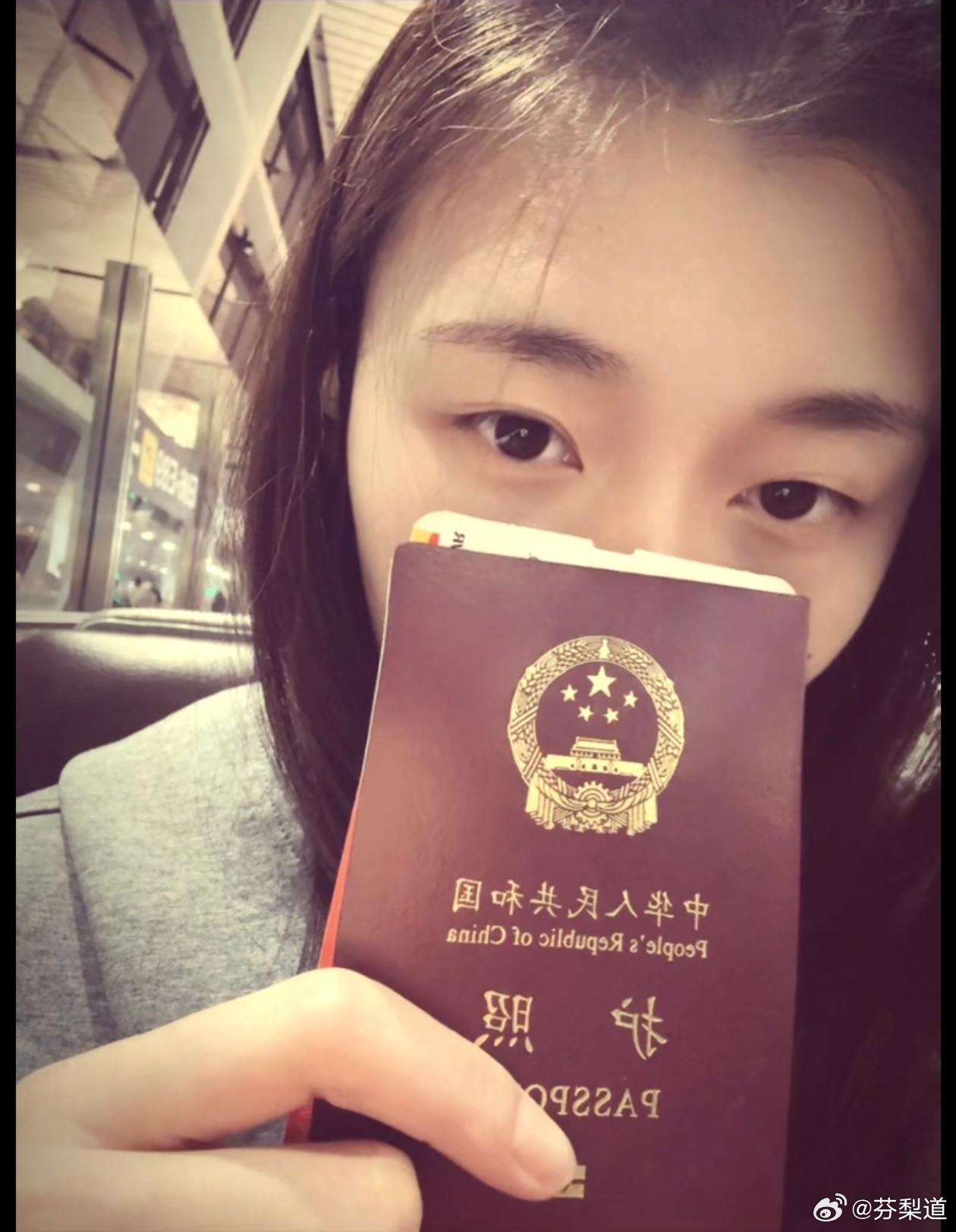 国际排坛动态王艺竹 竹子启程去越南了 