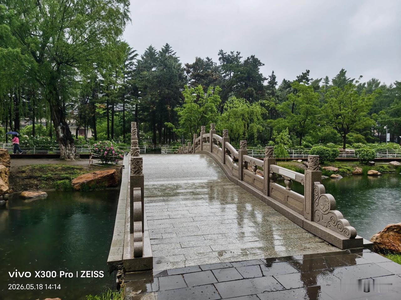雨中的牡丹桥，随手拍2026的牡丹园。
分享你随手拍的风景 分享今日随手一拍