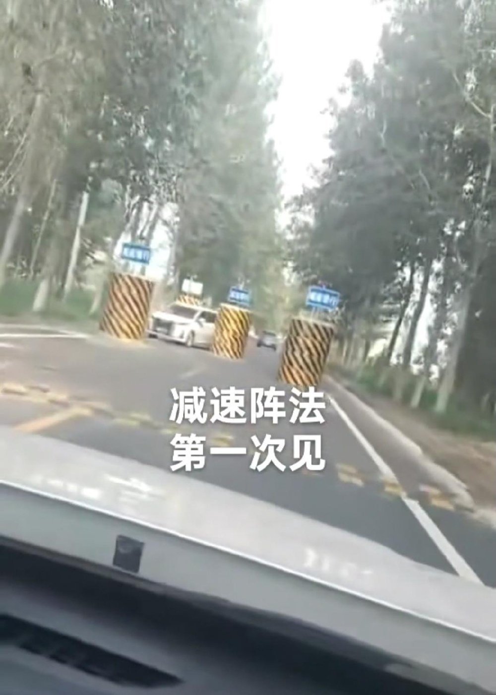 【#5个减速水泥桩像梅花阵地方道歉拆除# 】近日，有多名网友发布视频称，河北一道