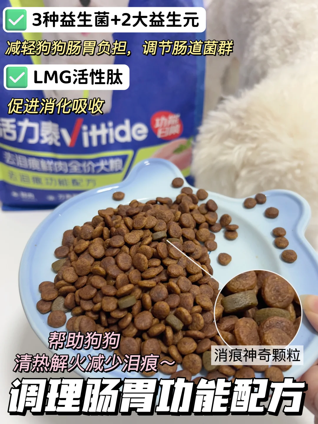 比熊喂养攻略｜狗狗泪痕轻松拿捏🙋‍