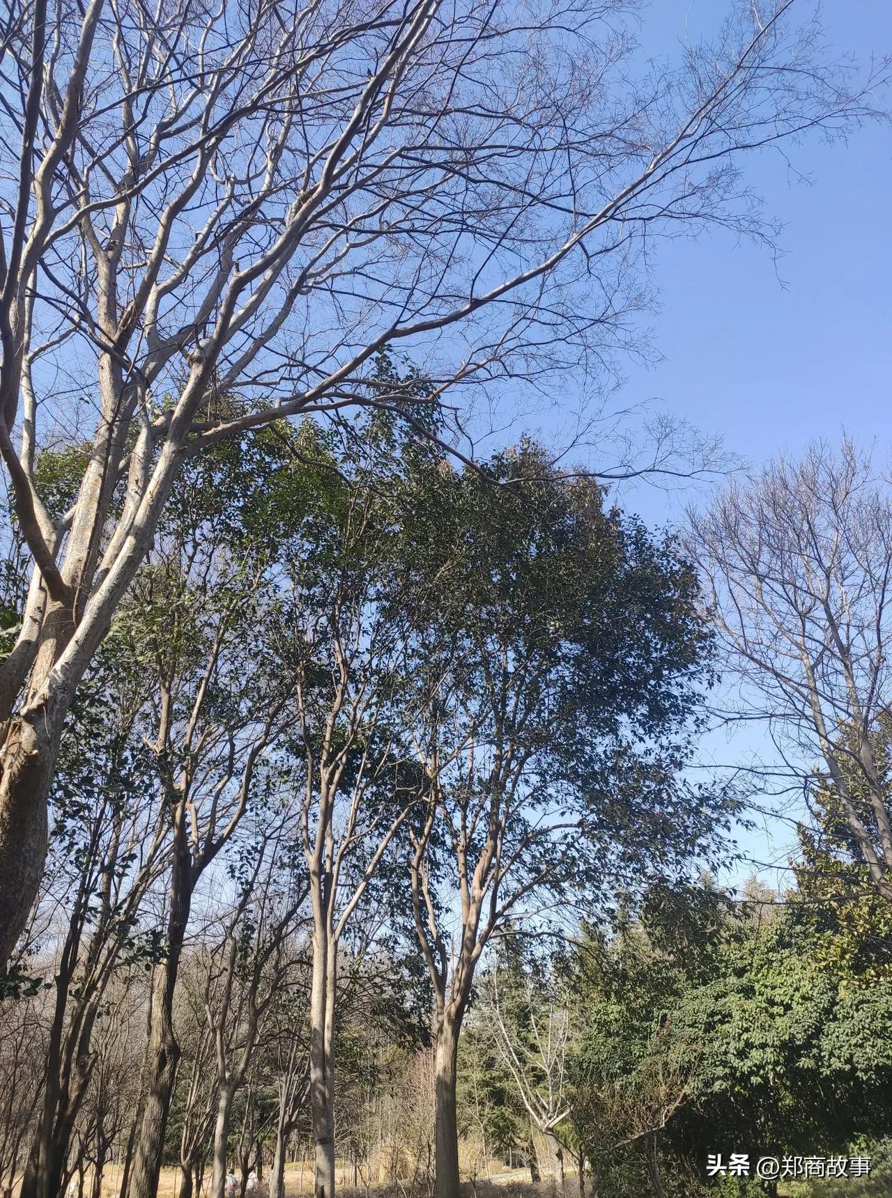 郑州小升初坐标金水区，
儿子分班考后被分在了非主科老师带的，
“非重点”班，
讲