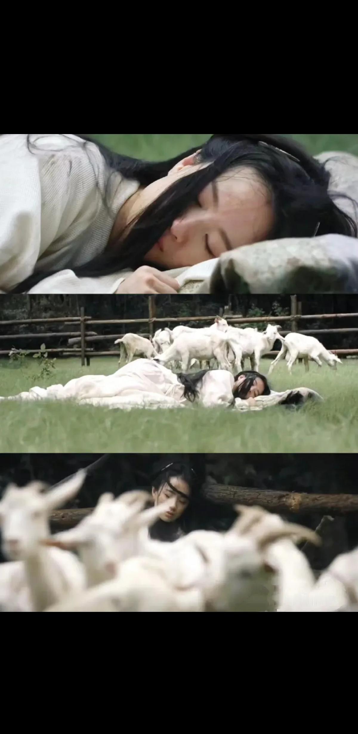 她不是疯了，是被当牲畜养了三年。
羊圈栏杆硌着后颈的触感，比代国冬天的冰湖更冷。