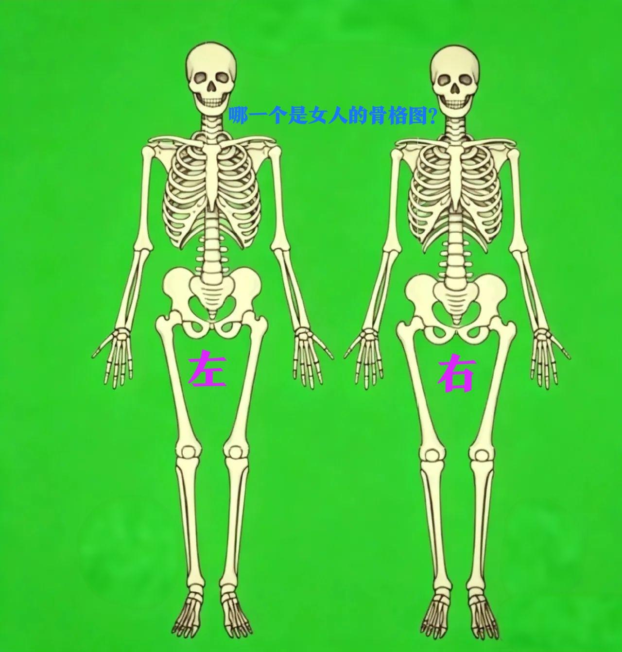 真不是吹的，
这骨格图八个人看了，
估计有六个人不懂，
没点文化是分析不到位的，