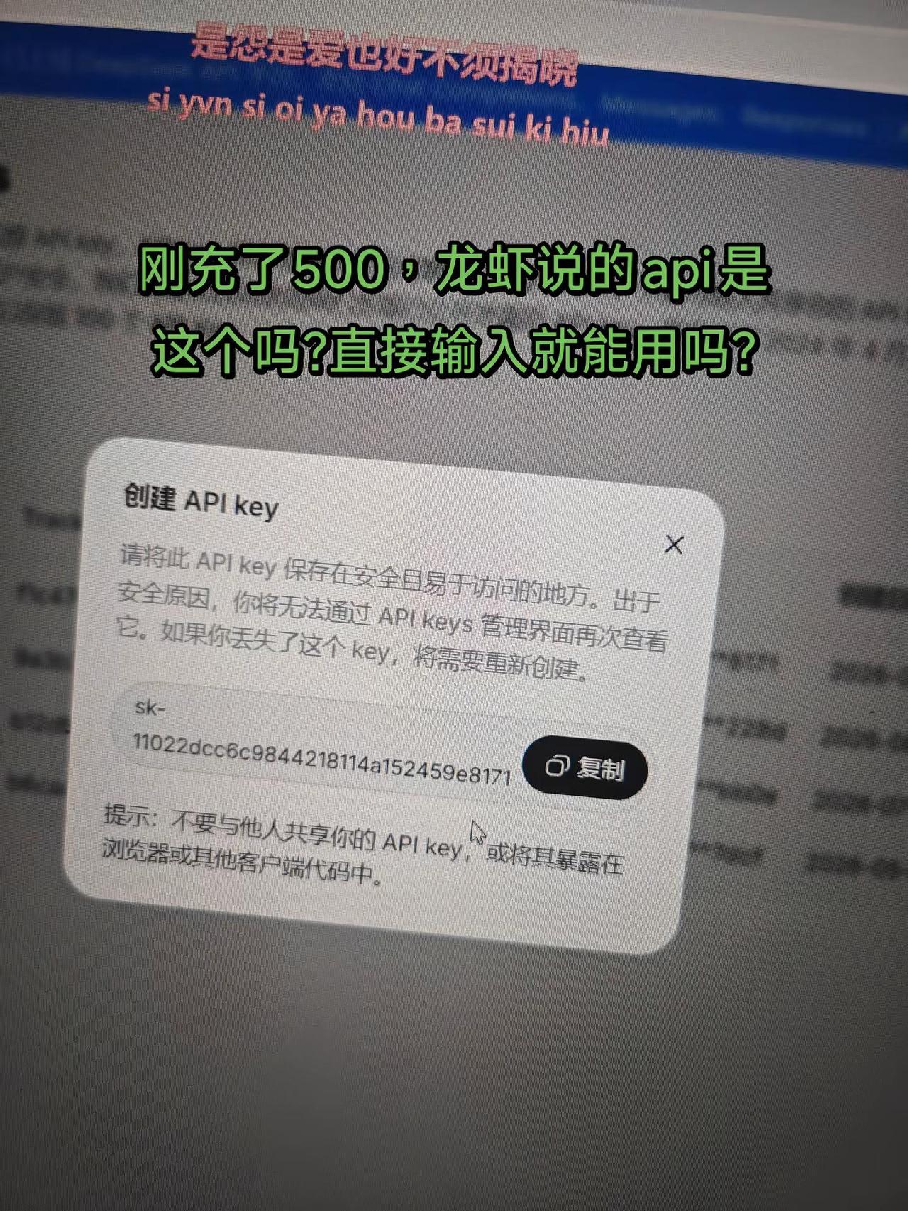 deepseek充了500，不知道够不够用，龙虾说的API是这个吗？直接输入就能