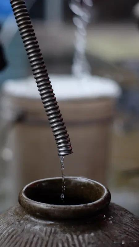 每日一黑悟·拾陆
      “陈年老酒”理论，害人不浅！它让你甘于寂寞，甘于等