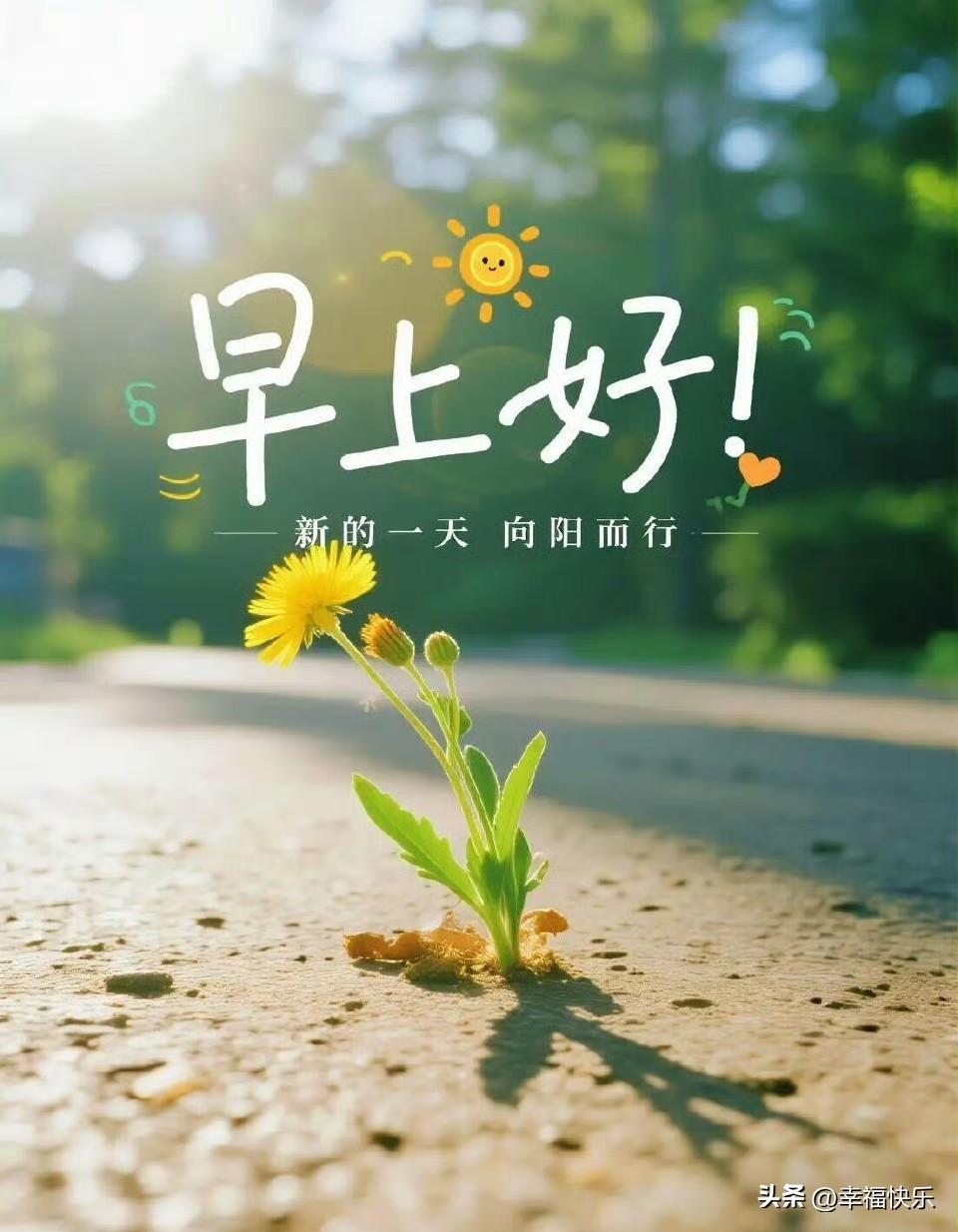 2026.03.23
——深耕，早盘


祥和转债，长高转债，上26转债，博士转