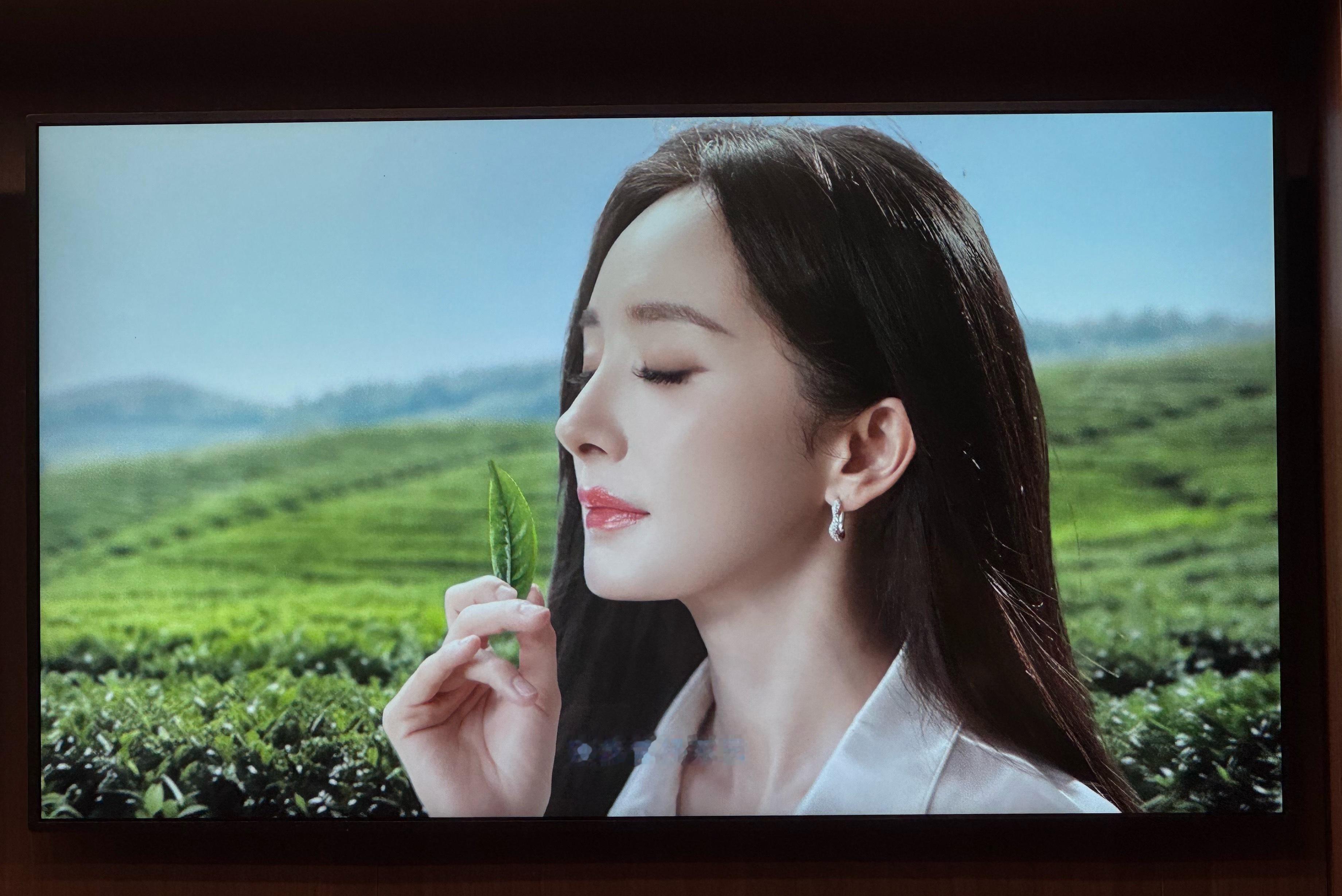 杨幂[超话] 出发赛里木湖前又点一杯库迪！[憧憬]这次喝了蜜蜂推荐的月下金桂生酪
